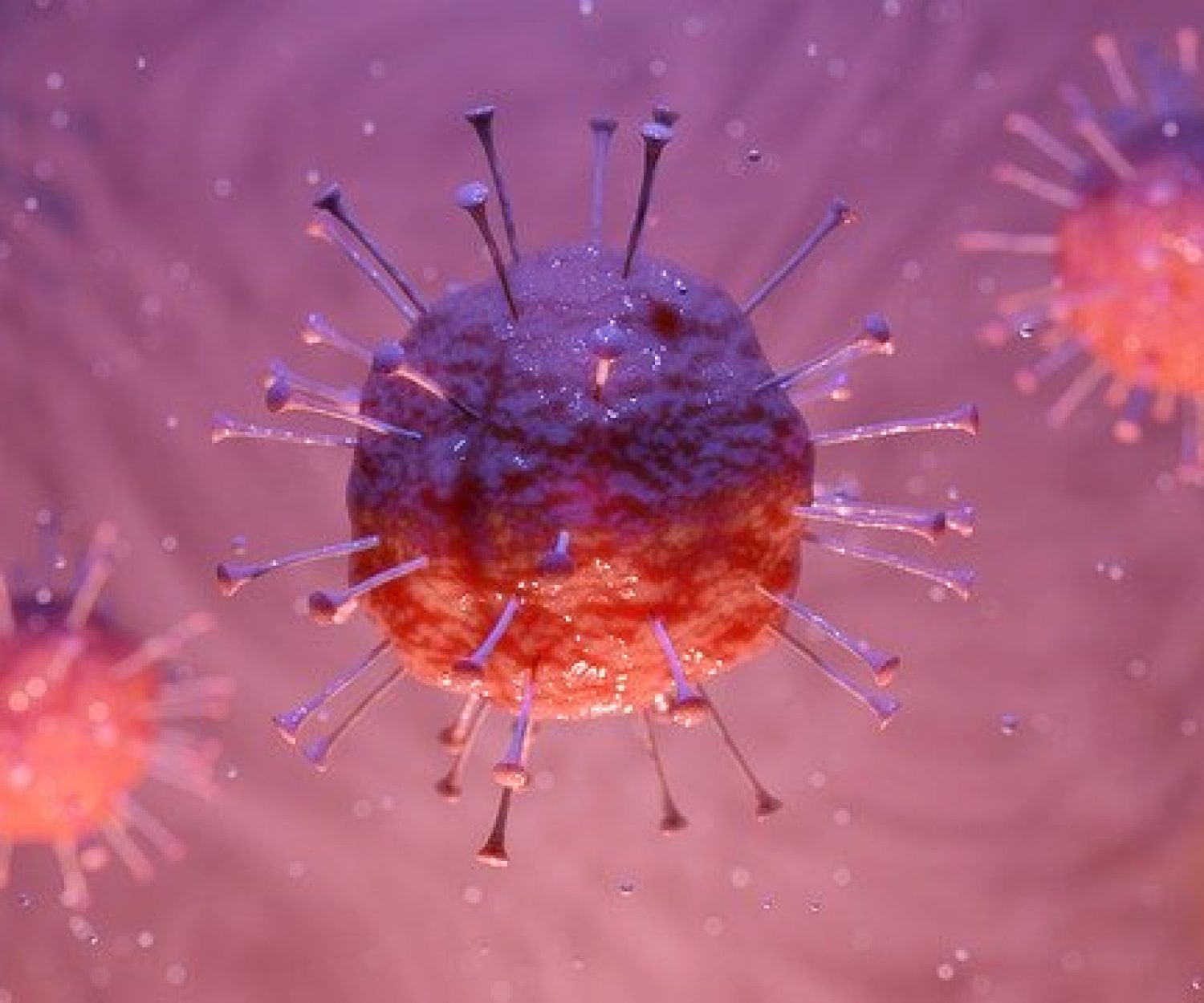 Covid 19 - Coronavirus suspension des délais pour agir en matière de vice caché auto